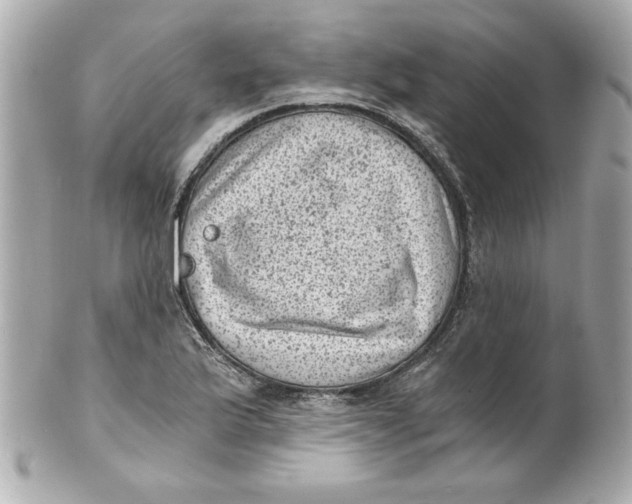 X0000101651175200807311407