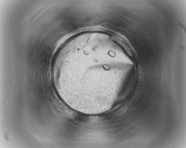 X0000101651176200807311407