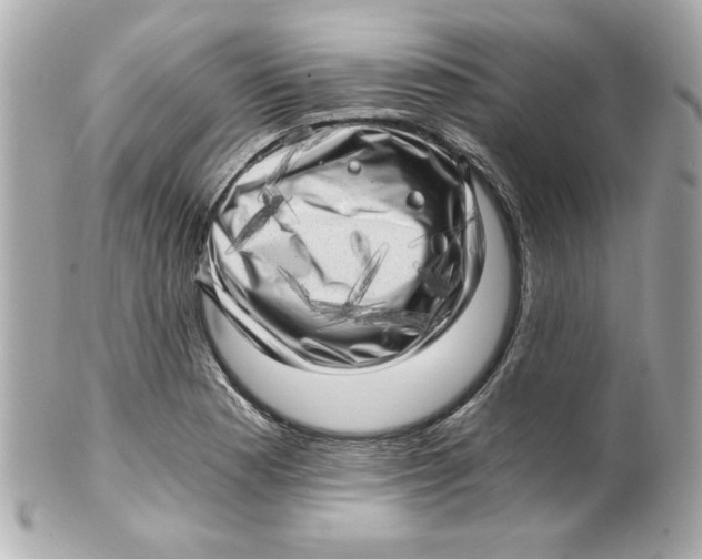 X0000101651177200807311407