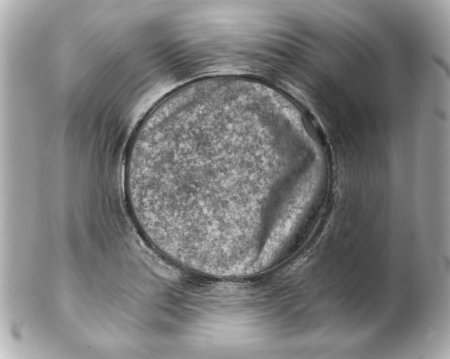 X0000101651179200807311407