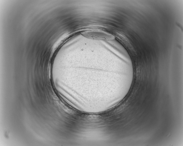X0000101651180200807311407