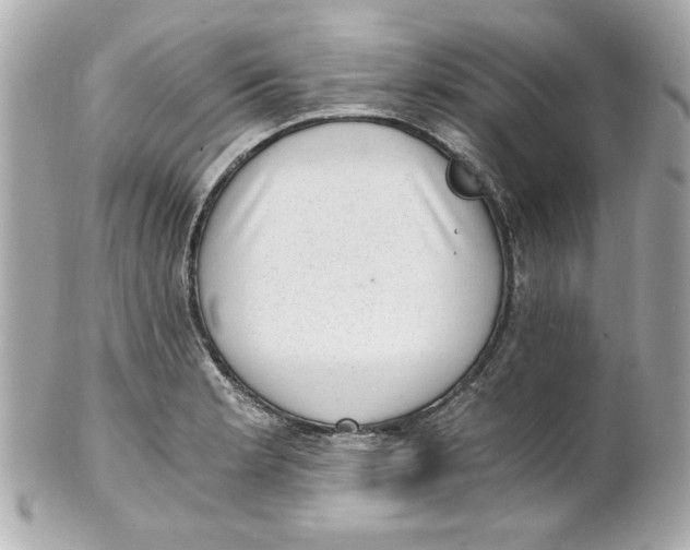 X0000101651181200807311407