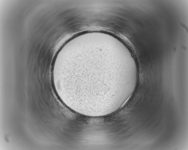 X0000101651183200807311407