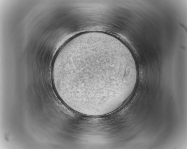 X0000101651184200807311407