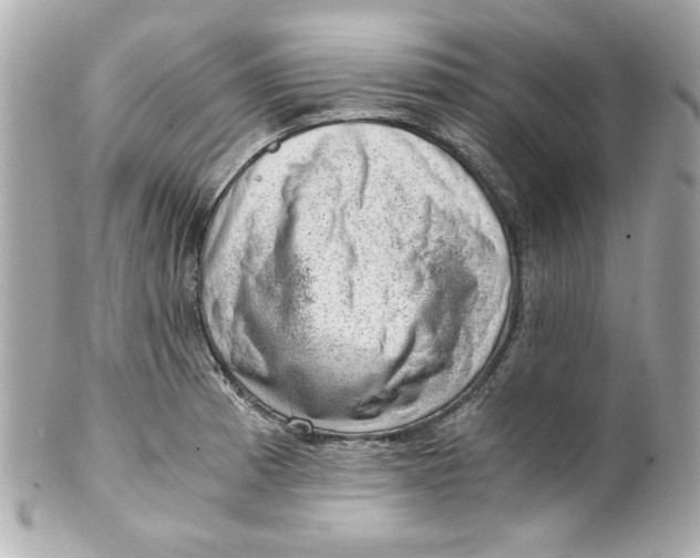 X0000101651185200807311407