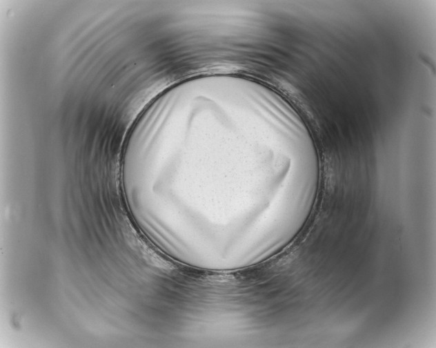X0000101651186200807311407