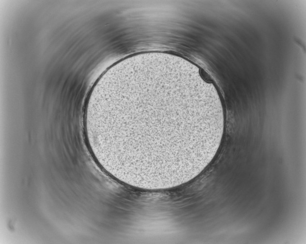 X0000101651187200807311407