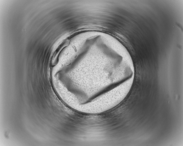 X0000101651188200807311407