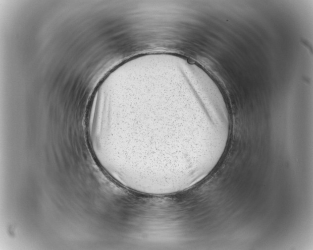 X0000101651189200807311406