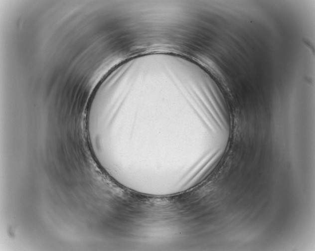 X0000101651190200807311406