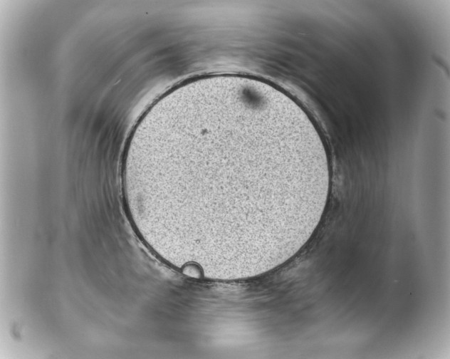 X0000101651191200807311406