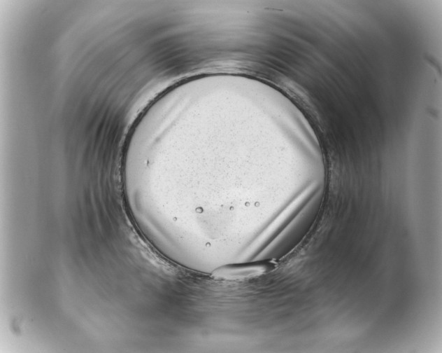 X0000101651192200807311406