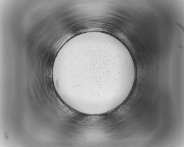 X0000101651193200807311406