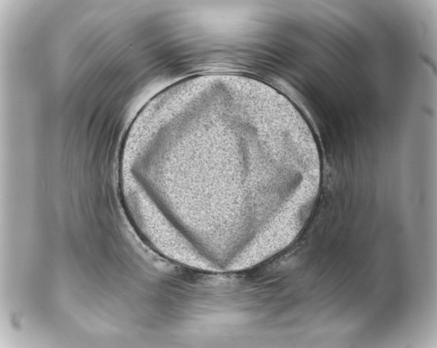 X0000101651195200807311406