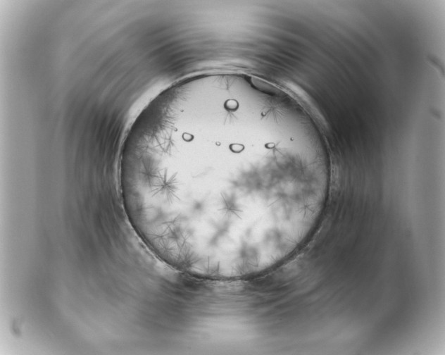 X0000101651196200807311406