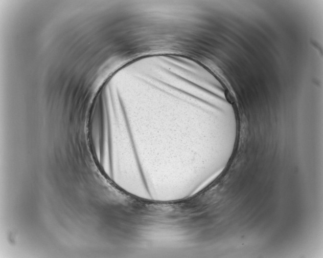 X0000101651197200807311406