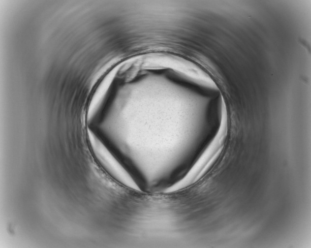 X0000101651198200807311406
