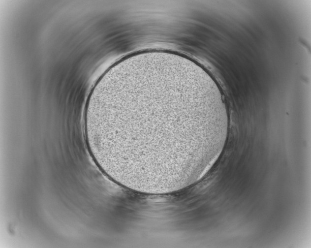X0000101651199200807311406