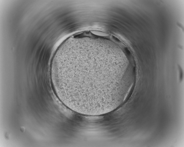 X0000101651200200807311406