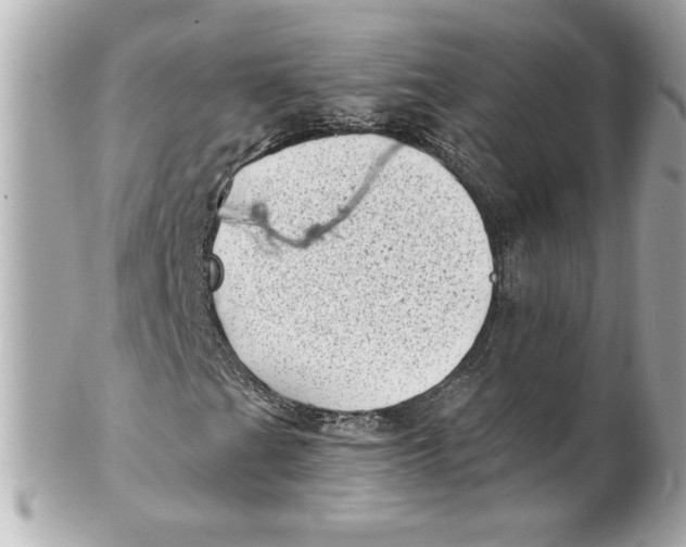 X0000101651201200807311406