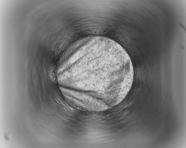 X0000101651202200807311406