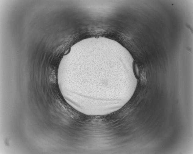 X0000101651204200807311406