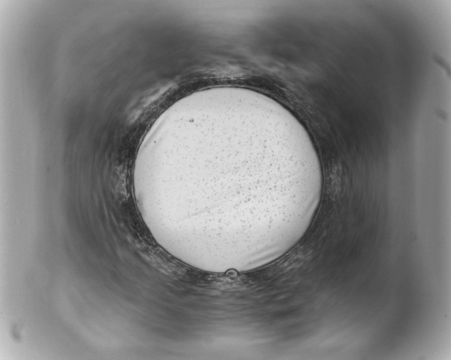 X0000101651205200807311406