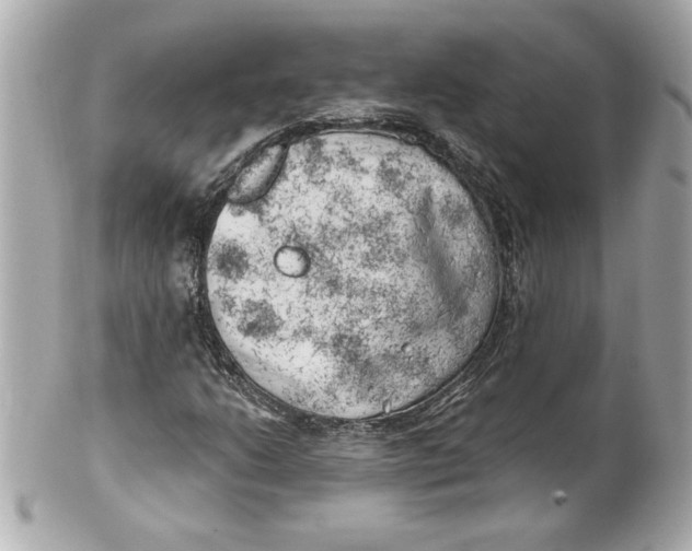 X0000101651206200807311406