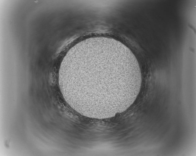 X0000101651207200807311406