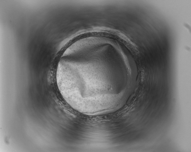 X0000101651208200807311406
