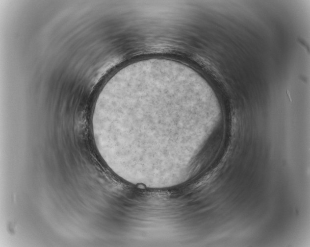 X0000101651210200807311406
