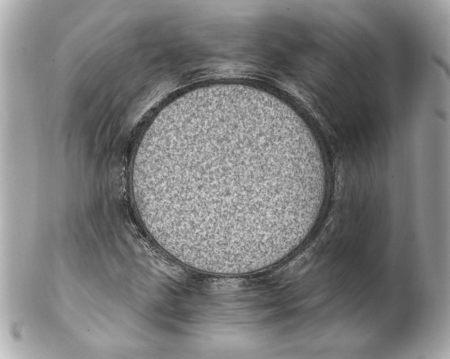 X0000101651211200807311406