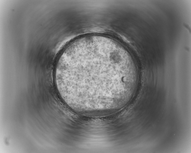 X0000101651214200807311406
