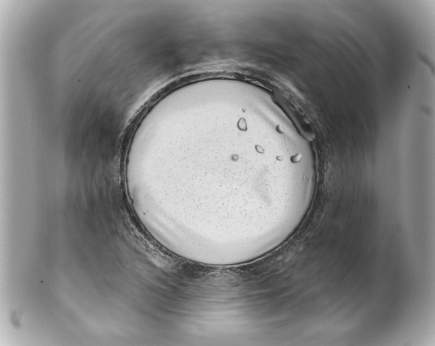 X0000101651216200807311406