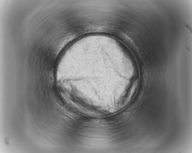 X0000101651218200807311406
