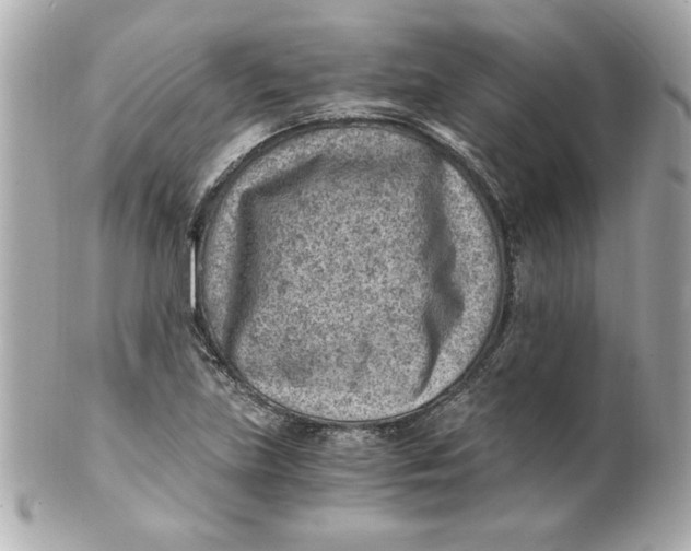 X0000101651219200807311406