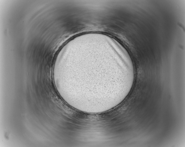 X0000101651220200807311406