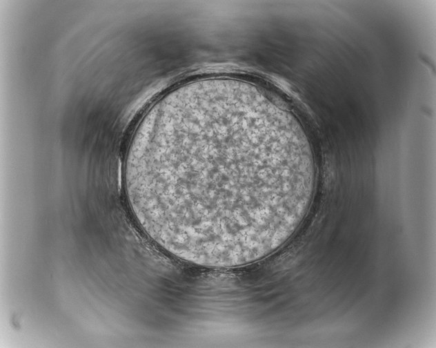 X0000101651221200807311406