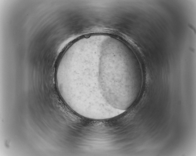 X0000101651222200807311406