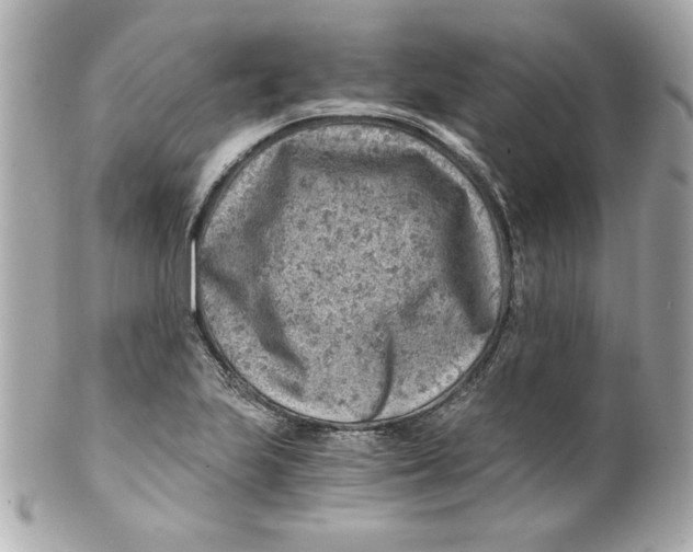 X0000101651223200807311406