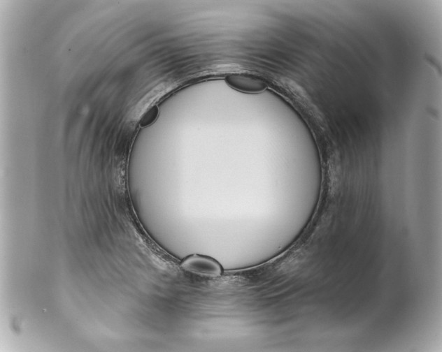 X0000101651225200807311406