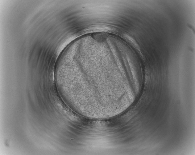 X0000101651226200807311406