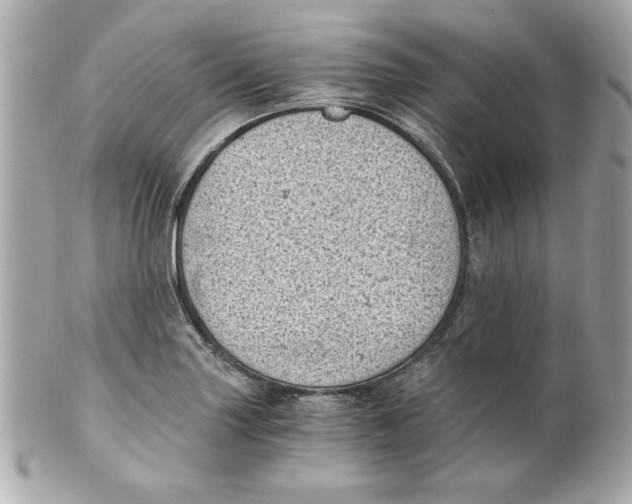 X0000101651227200807311406