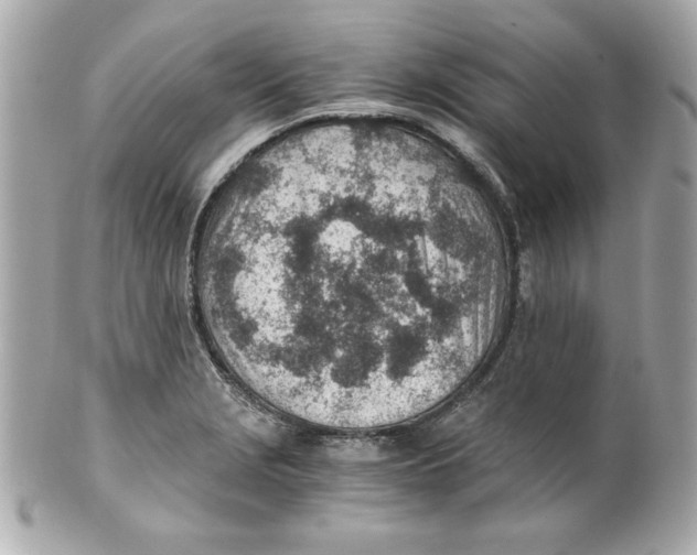 X0000101651229200807311406