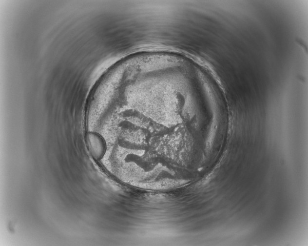 X0000101651231200807311406