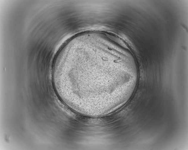 X0000101651232200807311406