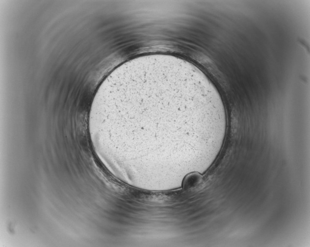 X0000101651233200807311406