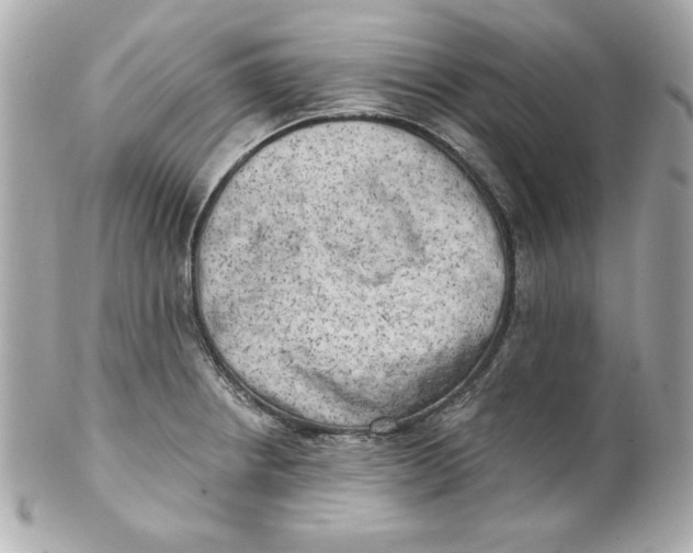 X0000101651234200807311406