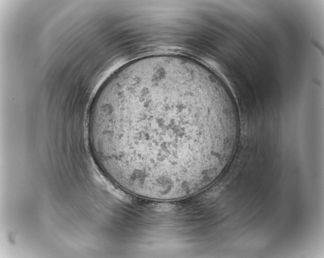X0000101651235200807311406