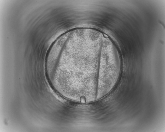 X0000101651237200807311406